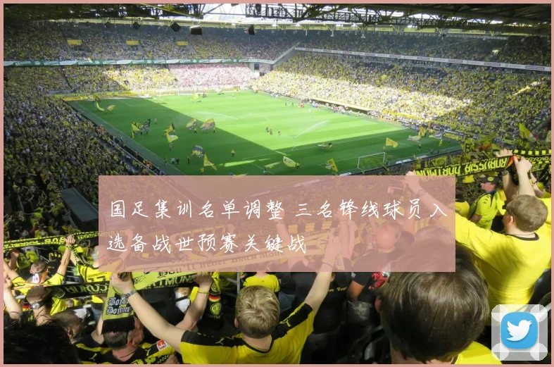 国足集训名单调整 三名锋线球员入选备战世预赛关键战